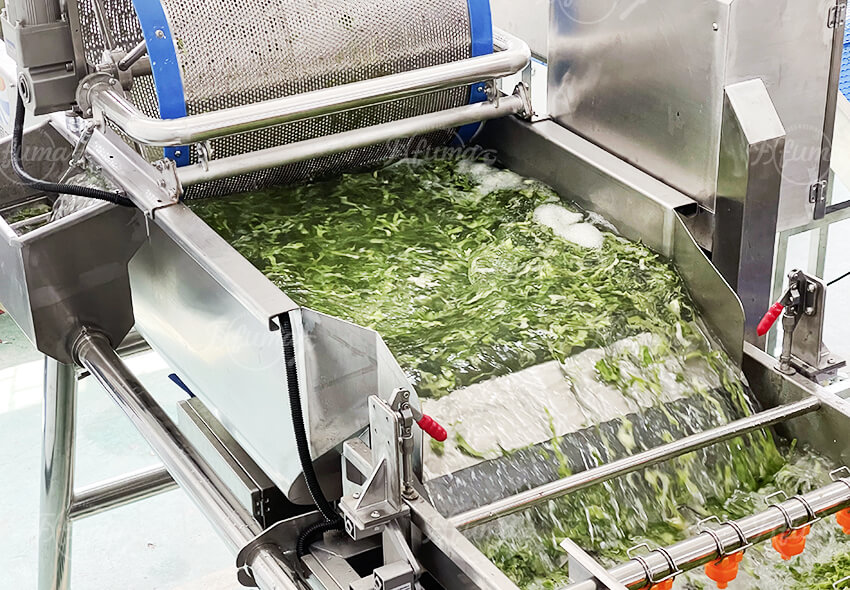 Automated Fresh-Cut Salad Processing Line | Fuma Machinery