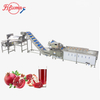 Industrial Pomegranate Processing Line for Washing, Seeding and Juice Extraction