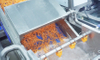 Fresh Cut Carrot Processing Solution | Vegetable Preparation System