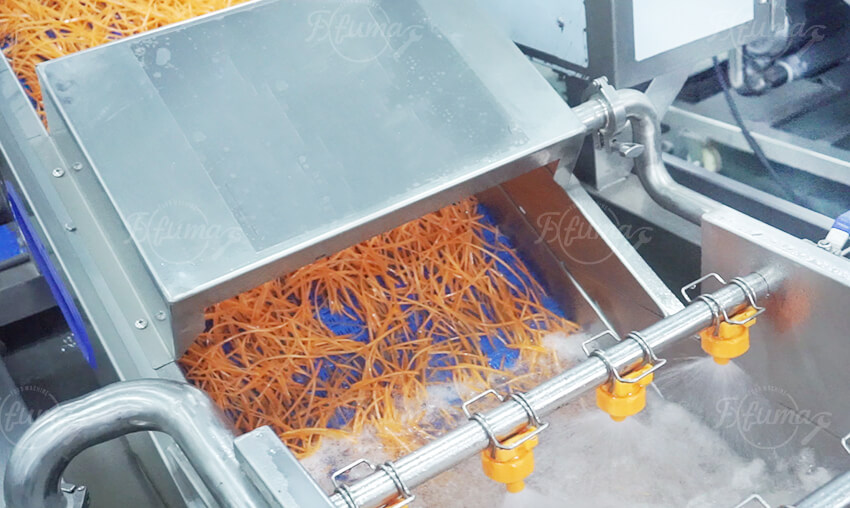 Fresh Cut Carrot Processing Solution | Vegetable Preparation System