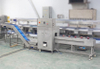 Automatic Onion Preparation System | Top & Tail Cutting and Peeling Machine