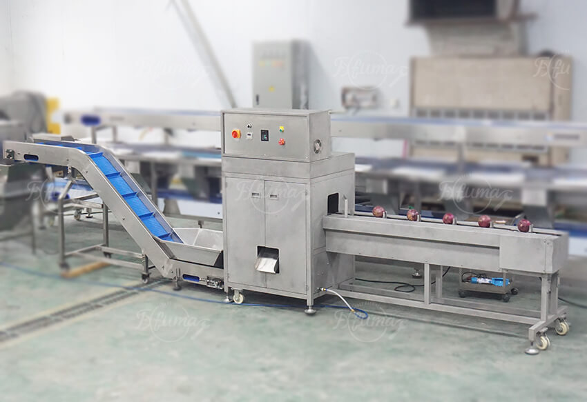 Automatic Onion Preparation System | Top & Tail Cutting and Peeling Machine