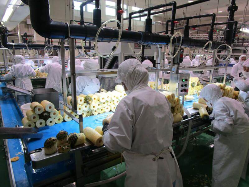 pineapple processing line installed in fruit factory workshop