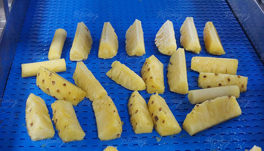 Industrial Pineapple Processing Line for Washing, Peeling and Cutting