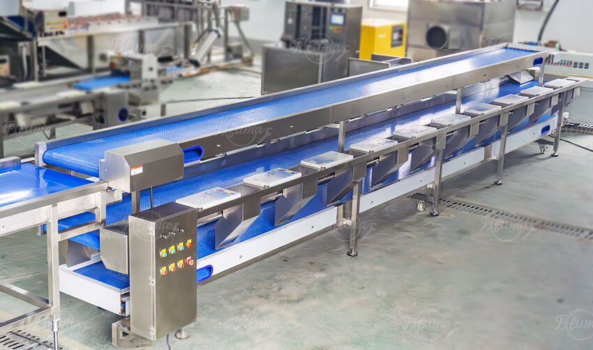 stainless steel pineapple processing equipment