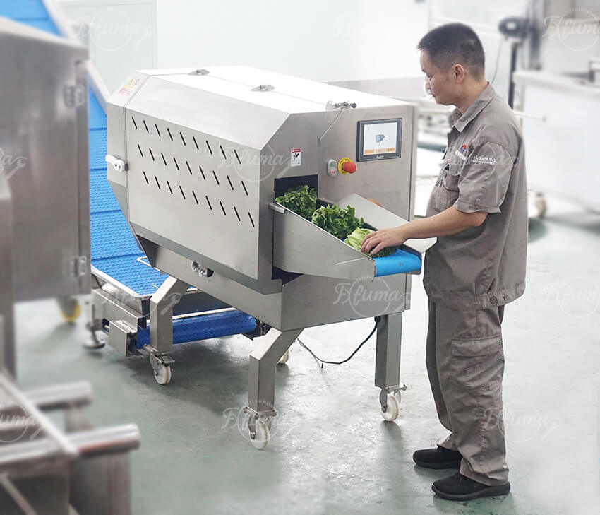 Automated Fresh-Cut Salad Processing Line | Fuma Machinery
