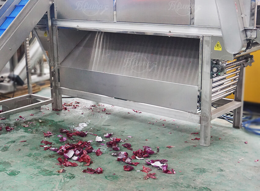 onion peeler