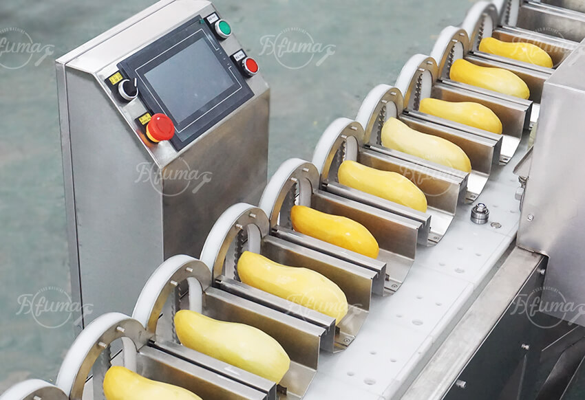Automatic Mango Pitting Machine for Fruit Processing