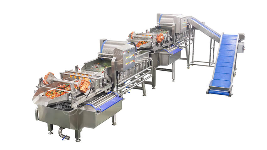 Industrial vortex vegetable washing system for fresh produce processing