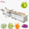 Vegetable Fruit Washing Cleaning Blanching Machine Plan