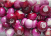 Automatic Onion Preparation System | Top & Tail Cutting and Peeling Machine