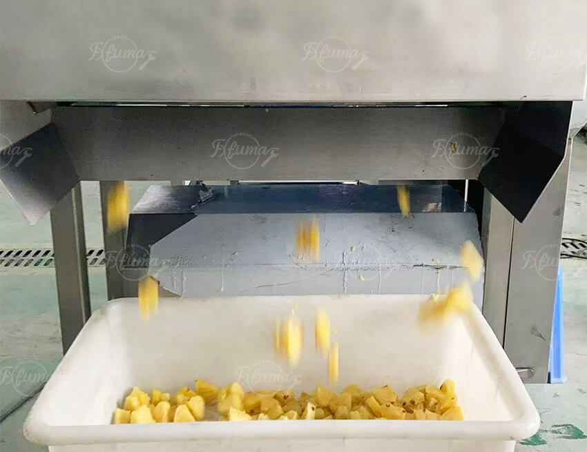 Industrial Pineapple Processing Line for Washing, Peeling and Cutting