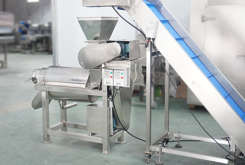 Fresh fruit processing system for food factories
