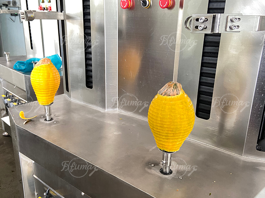 Double-head squash peeler machine processing butternut squash