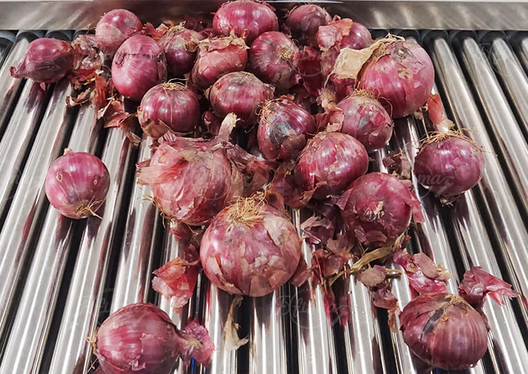 onion processing equipment
