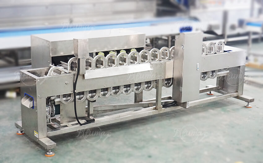 Automatic Mango Pitting Machine for Fruit Processing