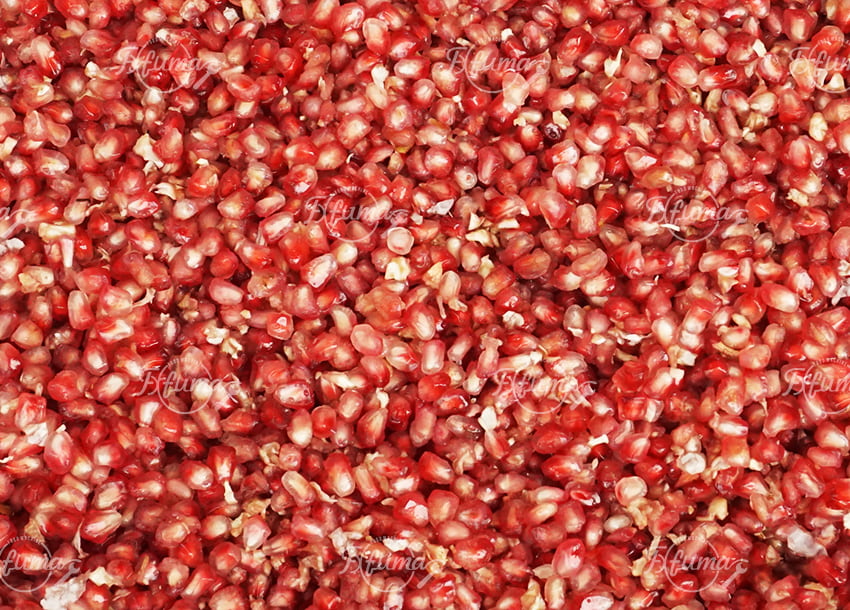 Industrial Pomegranate Processing Line for Washing, Seeding and Juice Extraction
