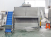 Automatic Onion Preparation System | Top & Tail Cutting and Peeling Machine