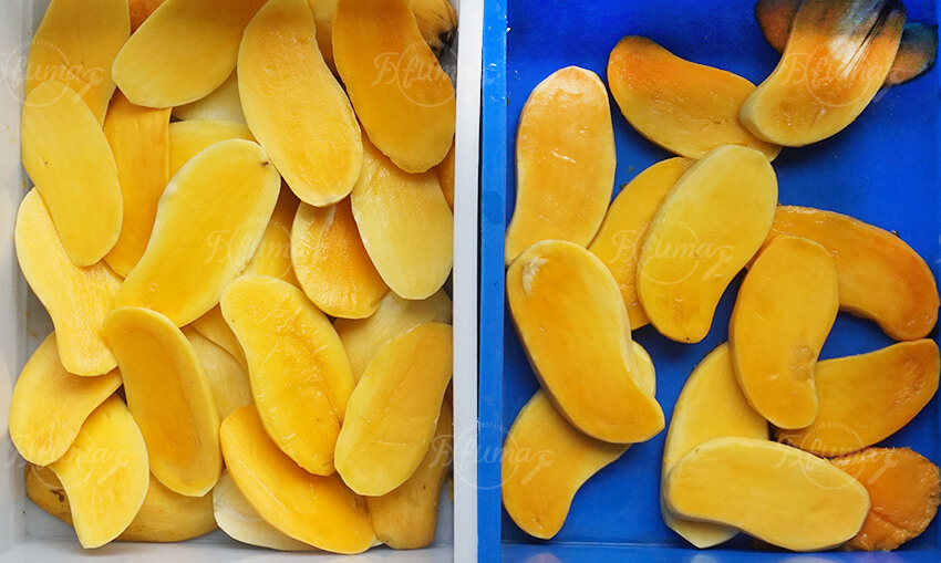 Automatic Mango Pitting Machine for Fruit Processing