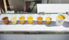 Fruit Pulp Production Line for Juice Manufacturing