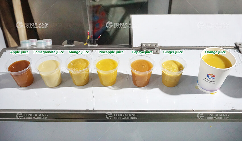 Fruit Pulp Production Line for Juice Manufacturing