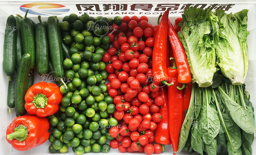 Industrial Vortex Vegetable Washing Machine | Fresh Produce Cleaning System
