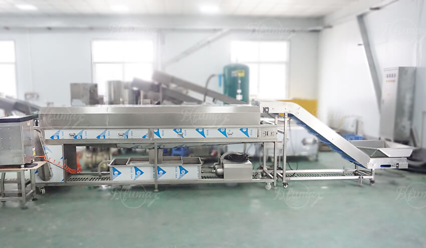 Industrial fruit washing and pulping equipment