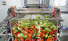 Industrial Vortex Vegetable Washing Machine | Fresh Produce Cleaning System