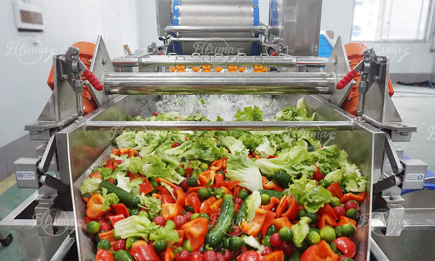 Industrial Vortex Vegetable Washing Machine | Fresh Produce Cleaning System