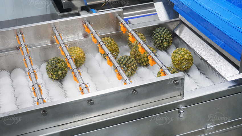 spray brush pineapple cleaning machine