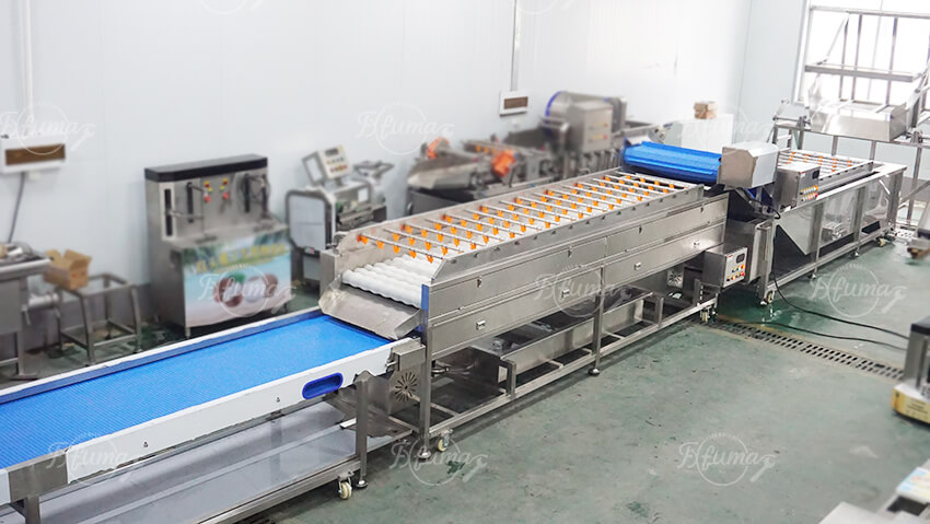 fruit washing machine