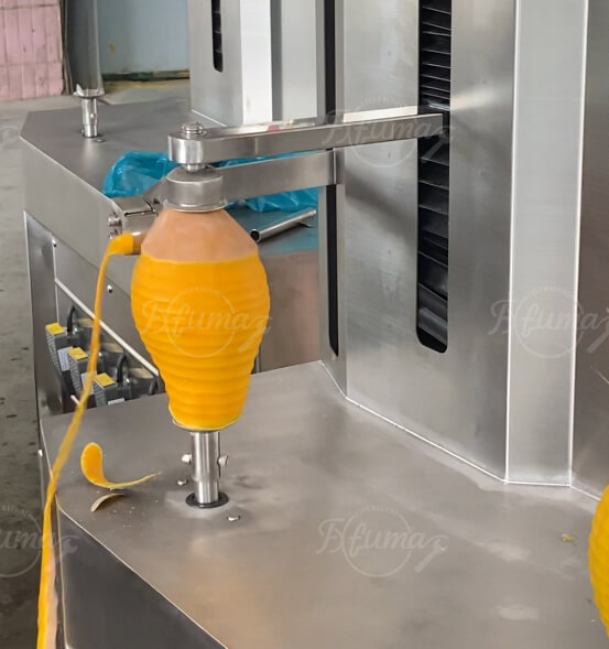 double head pumpkin peeling machine removing skin evenly