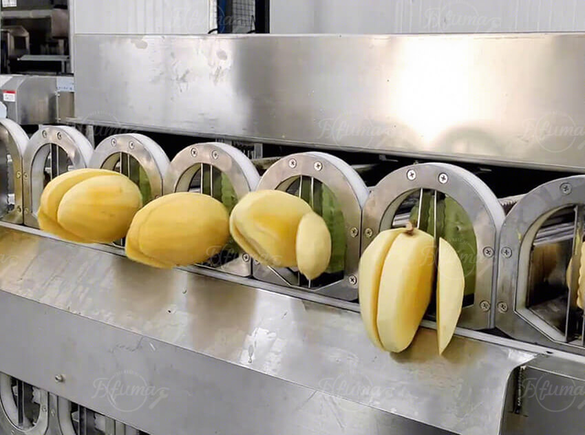 Automatic Mango Pitting Machine for Fruit Processing