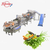 Industrial Vortex Vegetable Washing Machine | Fresh Produce Cleaning System