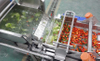 Industrial Vortex Vegetable Washing Machine | Fresh Produce Cleaning System