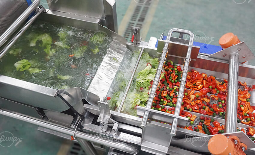 Industrial Vortex Vegetable Washing Machine | Fresh Produce Cleaning System