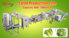 Automated Fresh-Cut Salad Processing Line | Fuma Machinery