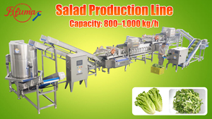 Automated Fresh-Cut Salad Processing Line | Fuma Machinery