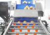 Industrial Pomegranate Processing Line for Washing, Seeding and Juice Extraction
