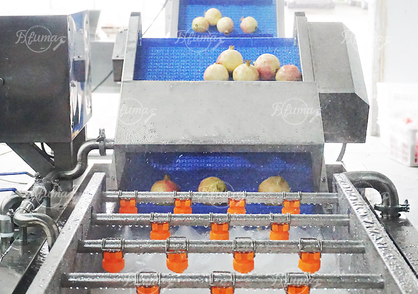 Industrial Pomegranate Processing Line for Washing, Seeding and Juice Extraction