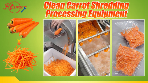 Fresh Cut Carrot Processing Solution | Vegetable Preparation System