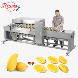 Automatic Mango Pitting Machine for Fruit Processing