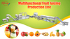 Fruit Pulp Production Line for Juice Manufacturing